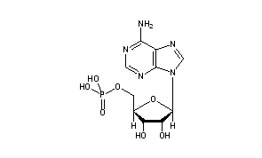 5'-Adenylic Acid