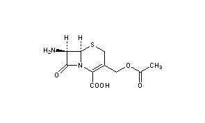 7-Aminocephalosporanic Acid