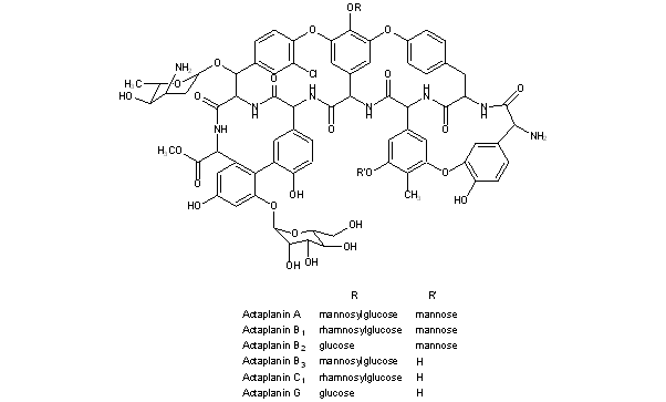 Actaplanins