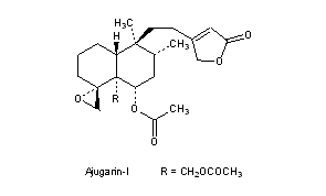 Ajugarins