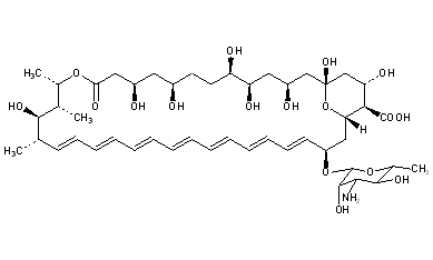 Amphotericin B