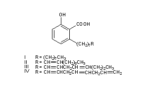 Anacardic Acid