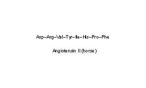 Angiotensin