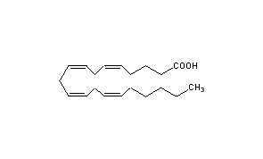 Arachidonic Acid