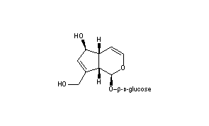 Aucubin