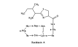 Bacitracin