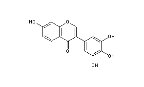 Baptigenin