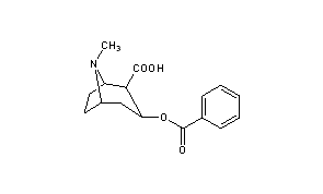 Benzoylecgonine