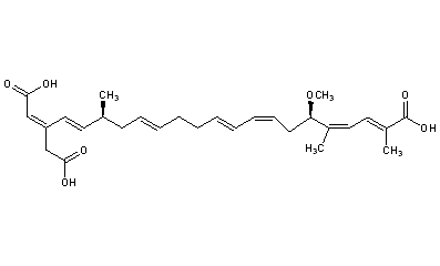 Bongkrekic Acid