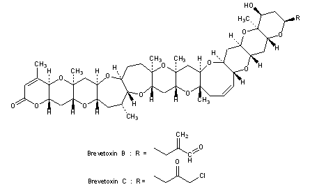 Brevetoxins