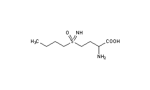 Buthionine Sulfoximine