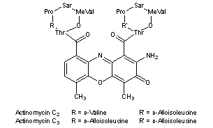 Cactinomycin