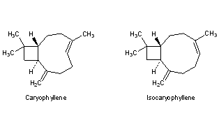 Caryophyllene