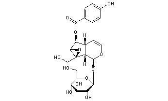 Catalposide