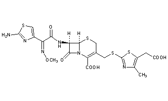 Cefodizime