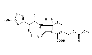 Cefotaxime