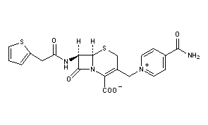 Cephalonium