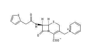 Cephaloridine