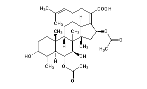 Cephalosporin P1