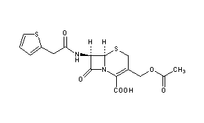 Cephalothin