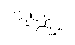 Cephradine