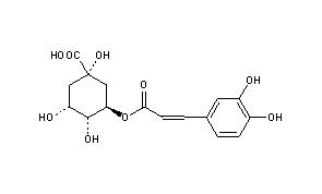 Chlorogenic Acid