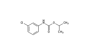 Chlorpropham