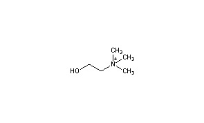 Choline