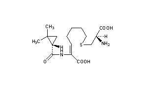 Cilastatin