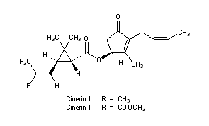 Cinerins