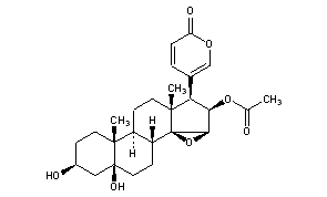 Cinobufotalin