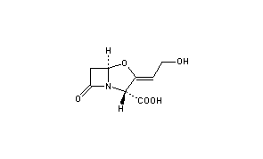 Clavulanic Acid