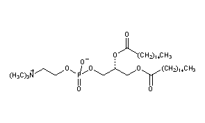 Colfosceril Palmitate