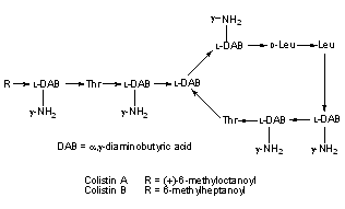 Colistin