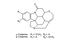 Colubrines