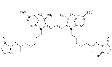 Cy 3