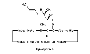 Cyclosporins