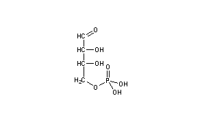 D-Erythrose 4-Phosphate