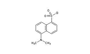 Dansyl Chloride