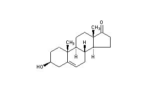 Dehydroepiandrosterone