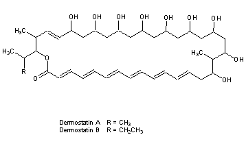 Dermostatin