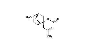 Dioscorine