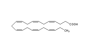 Docosahexaenoic Acid