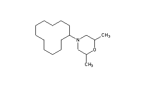 Dodemorph