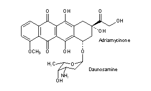 Doxorubicin