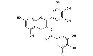 EGCG