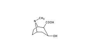 Ecgonine