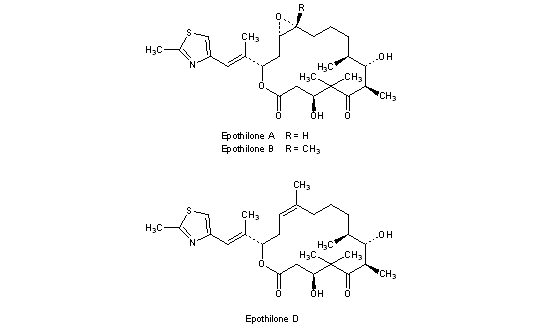 Epothilones