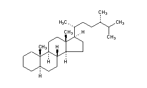 Ergostane