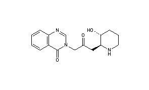 Febrifugine